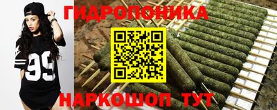 spice Краснознаменск