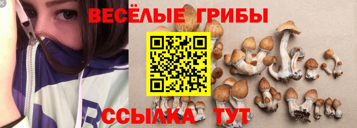 Кизилюрт  Псилоцибиновые грибы прущие грибы  даркнет сайт  Вход с VPN 
